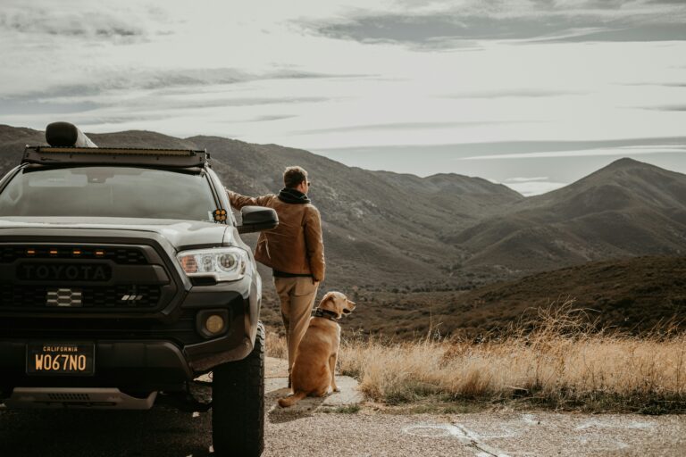 Jak przygotować psa do podróży w klatce