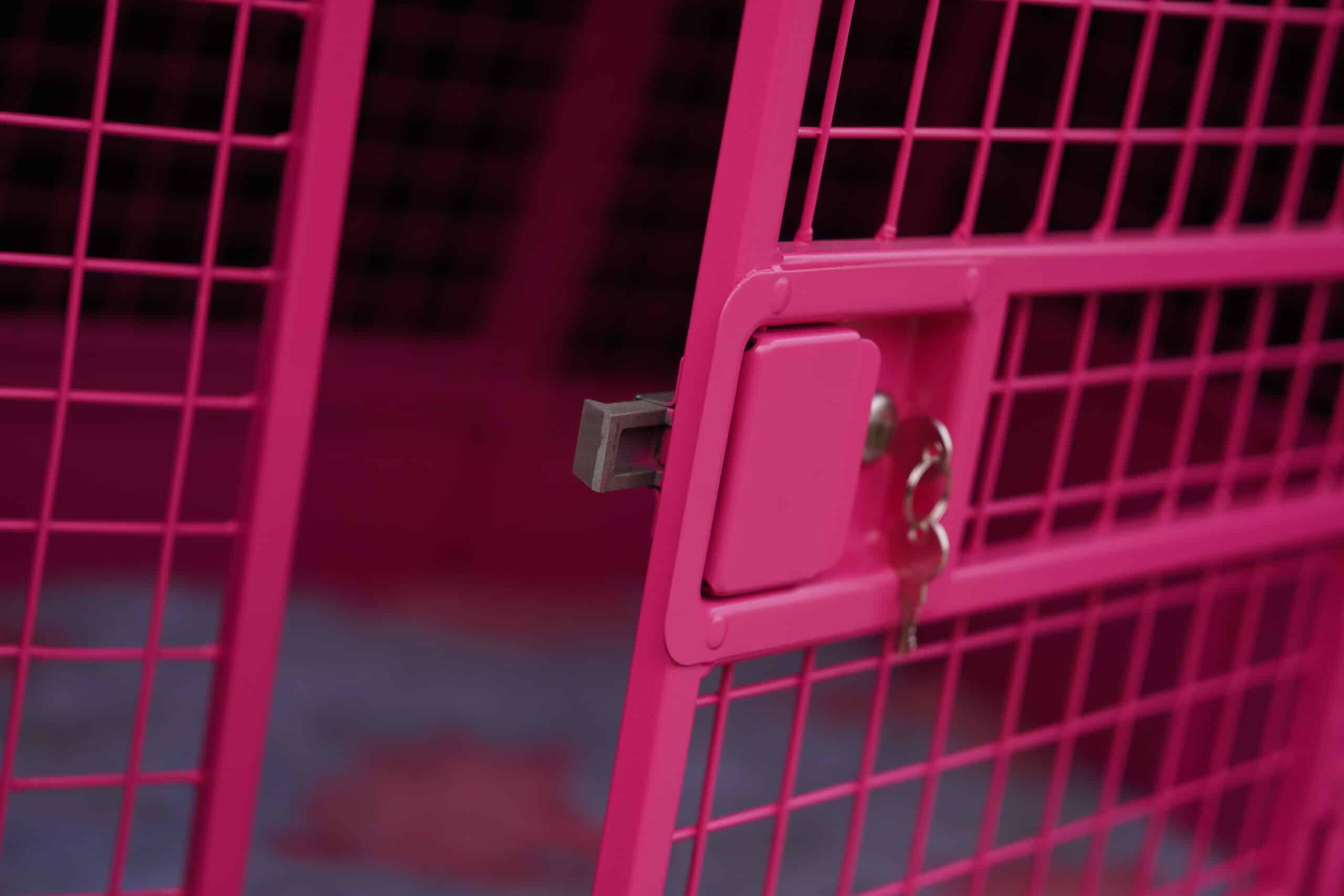 Klatka dla psa do samochodu dacia duster